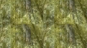 2011-10-15 12:35:07