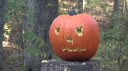 Dynia na Halloween