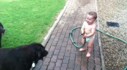 Zabawa dziecka z psami