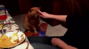 2012-01-16 18:58:57