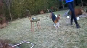 Hop