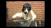 DJ Kitty - Boom Boom