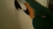 WTF od papugi