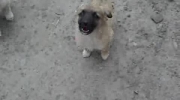 Miodzio