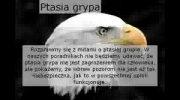 Wejdź na http://ptasiagrypainfo.pl