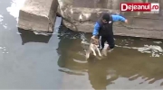 Niesamowita radość psa po uratowaniu go z wody