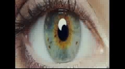 Sample - Początek - I Origins *2014*