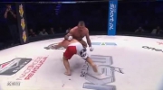 KSW 29 Walka Mariusz Pudzianowski vs Paweł Nastula 2014