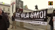 GMO - Prawo do modyfikacji przemycane bocznymi drzwiami (10.01.2015)