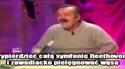 Meksyk śmieje się z Tuska, Palikota, Kopacz, Komorowskiego i sytuacji w Polsce (2015)