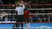 Mike Tyson Fight KO