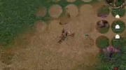 Metin2 Ninja