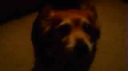 2010-05-27 01:48:07
