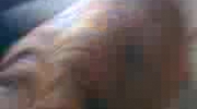 Asurek po kąpieli 1