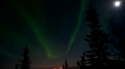 Northern Lights - Fairbanks na Alasce