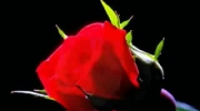 2010-08-10 19:23:13