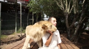 Love Lions