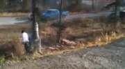 Prosto na auto
