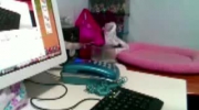 Kot który nie lubi telefonu