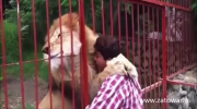 Funny Videos Of Funny Animals NEW 2015.mp4