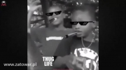 Thug LIFE Compilations $ New Compilations $ September 2015 $.mp4