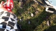MOV_0142.mp4