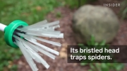 Urządzenie do łapania pająków