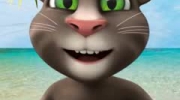 My talking tom budala