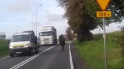 Legnica: wielbłąd uciekł z cyrku i biegał po ulicy