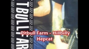 Pitbull Farm - Hillbilly Hepcat.mp4