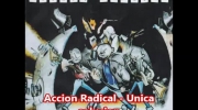 Accion Radical - Unica solucion.mp4