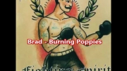 Brad - Burning Poppies.mp4