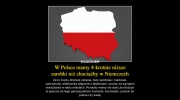 PiS oszukał Polaków || Pislamizacja - Multikulti według PiS