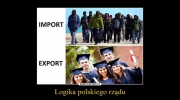 Polska potrzebuje nowych służb do walki z nielegalną imigracją! PiS oszukał Polaków