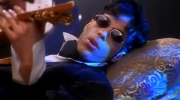 Prince - Dolphin