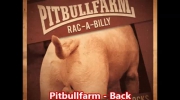 Pitbullfarm - Back With A Bang.mp4