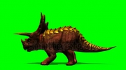 stock-footage-dinosaur-triceratops-eat-seperated-on-green-screen.webm