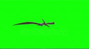 stock-footage-render-realistic-d-dinosaur-flying-on-a-green-background.webm