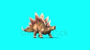 stock-footage-stegosaurus-attacks-dinosaurs-blue-screen-d-rendering-animation.webm