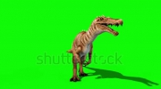 stock-footage-baryonyx-dinosaurs-attack-front-green-screen-d-rendering-animation-jurassic-loop.webm