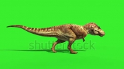 stock-footage-t-rex-tyrannosaur-feathered-run-side-loop-jurassic-world-dinosaurs-green-screen.webm