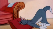 033 Tom i Jerry - Niewidzialna mysz.mp4
