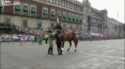 Koń się wku***ł i zrujnował defiladę