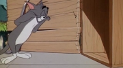 142 Tom i Jerry - Kocie zmartwienie.mp4