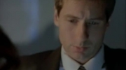 The X-Files S02E18.xbus.avi