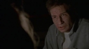 The X-Files S02E19.xbus.avi