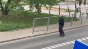 Niesamowite! Łoś biegał ulicami Warszawy