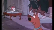 Scooby doo przerażony pies spotyka demony.mp4