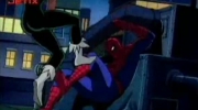 Spider-Man  Czarny kot.mp4
