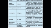 SZCZUROŁAP - Szczepionka wektorowa przeciw COVID-19